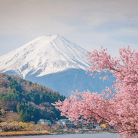福山福相